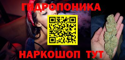 гидропоника Канаш